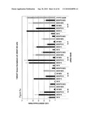 siRNA targeting ribonucleotide reductase M2 polypeptide (RRM2 or RNR-R2) diagram and image