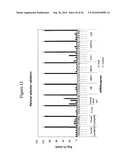 siRNA targeting ribonucleotide reductase M2 polypeptide (RRM2 or RNR-R2) diagram and image