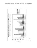 siRNA targeting ribonucleotide reductase M2 polypeptide (RRM2 or RNR-R2) diagram and image