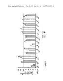 siRNA targeting ribonucleotide reductase M2 polypeptide (RRM2 or RNR-R2) diagram and image