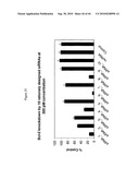 siRNA targeting ribonucleotide reductase M2 polypeptide (RRM2 or RNR-R2) diagram and image