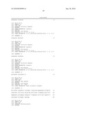 siRNA targeting ribonucleotide reductase M2 polypeptide (RRM2 or RNR-R2) diagram and image