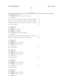 siRNA targeting ribonucleotide reductase M2 polypeptide (RRM2 or RNR-R2) diagram and image