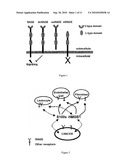 ANTAGONISTS OF THE RECEPTOR FOR ADVANCED GLYCATION END-PRODUCTS (RAGE) diagram and image