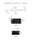 N-ACETYL MANNOSAMINE AS A THERAPEUTIC AGENT diagram and image