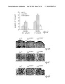 N-ACETYL MANNOSAMINE AS A THERAPEUTIC AGENT diagram and image