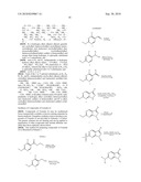 Modulators of Mitotic Kinases diagram and image