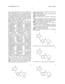 COMBINATION OF CHK AND PARP INHIBITORS FOR THE TREATMENT OF CANCERS diagram and image