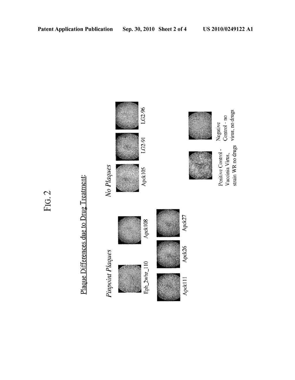 Kinase Inhibitors for Preventing or Treating Pathogen Infection and Method of Use Thereof - diagram, schematic, and image 03