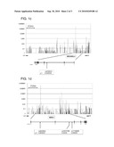 PREDICTION OF QT PROLONGATION BASED ON SNP GENOTYPE diagram and image