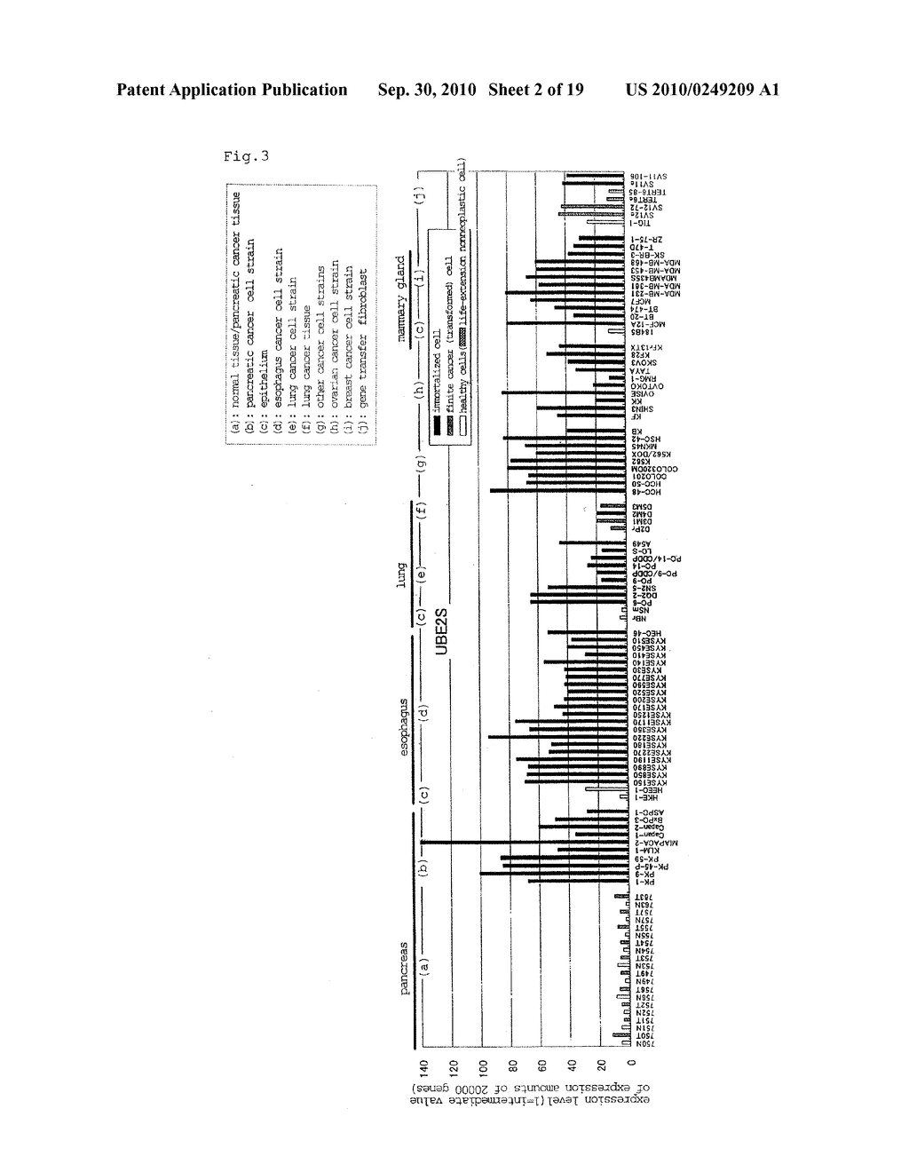 GENE INVOLVED IN IMMORTALIZATION OF HUMAN CANCER CELL AND USE THEREOF - diagram, schematic, and image 03