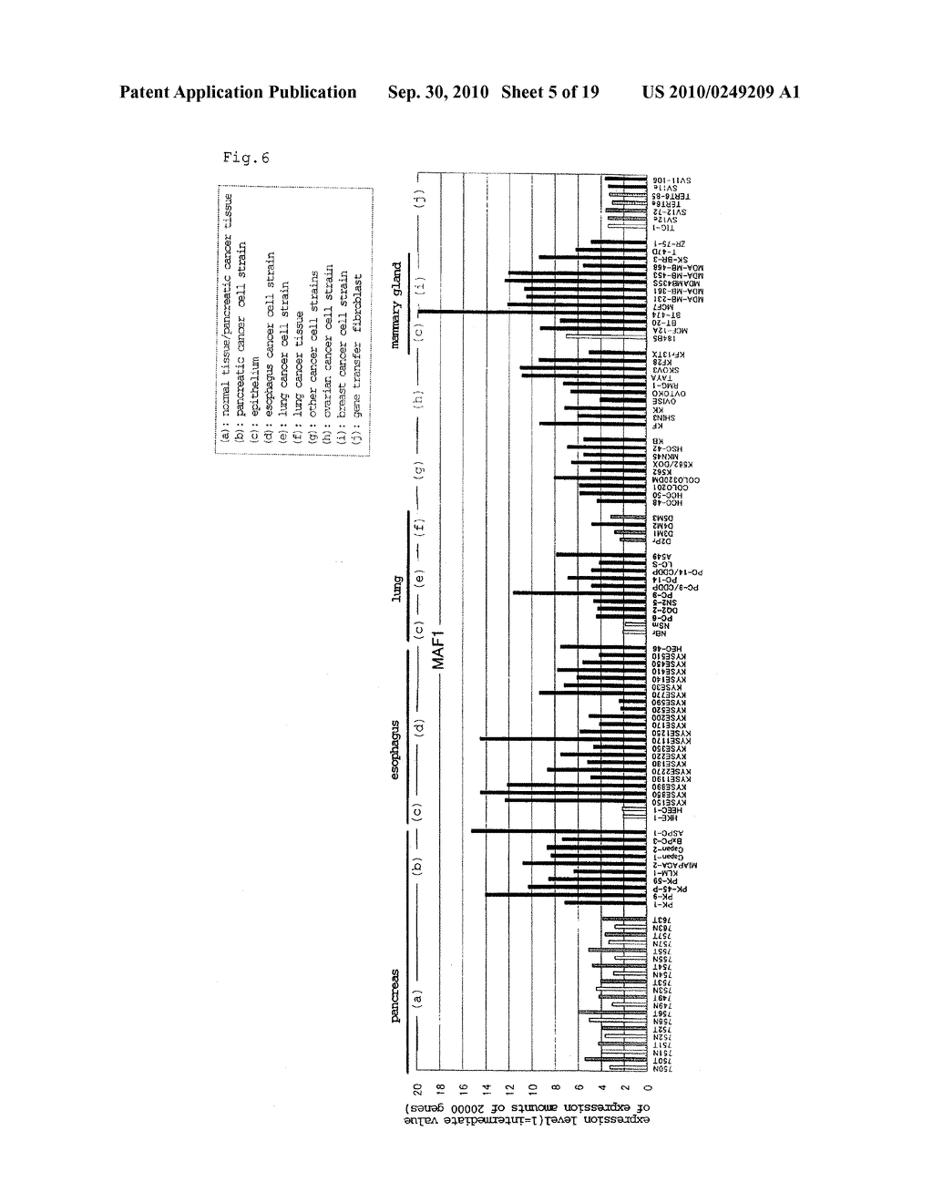 GENE INVOLVED IN IMMORTALIZATION OF HUMAN CANCER CELL AND USE THEREOF - diagram, schematic, and image 06