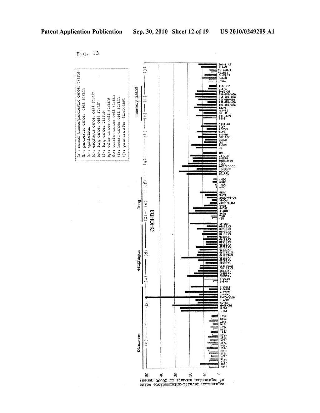 GENE INVOLVED IN IMMORTALIZATION OF HUMAN CANCER CELL AND USE THEREOF - diagram, schematic, and image 13