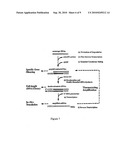 Gene Silencing Using mRNA-cDNA Hybrids diagram and image