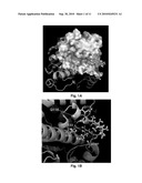 HSP90 Inhibitors of Protein-Protein Interaction HSP90 Chaperone Complexes and Therapeutic Uses Thereof diagram and image