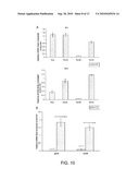 METHODS OF REDUCING VIRULENCE IN BACTERIA diagram and image