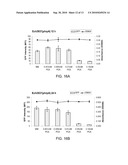 METHODS OF REDUCING VIRULENCE IN BACTERIA diagram and image