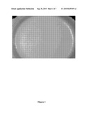 SLIP FOR THE PREPARATION OF DENTAL CERAMICS BY A HOT-MELT INKJET PRINTING PROCESS diagram and image