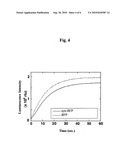 Process for producing coelenteramide or an analog thereof diagram and image