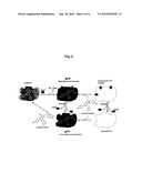 Process for producing coelenteramide or an analog thereof diagram and image