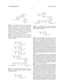 Process for producing coelenteramide or an analog thereof diagram and image