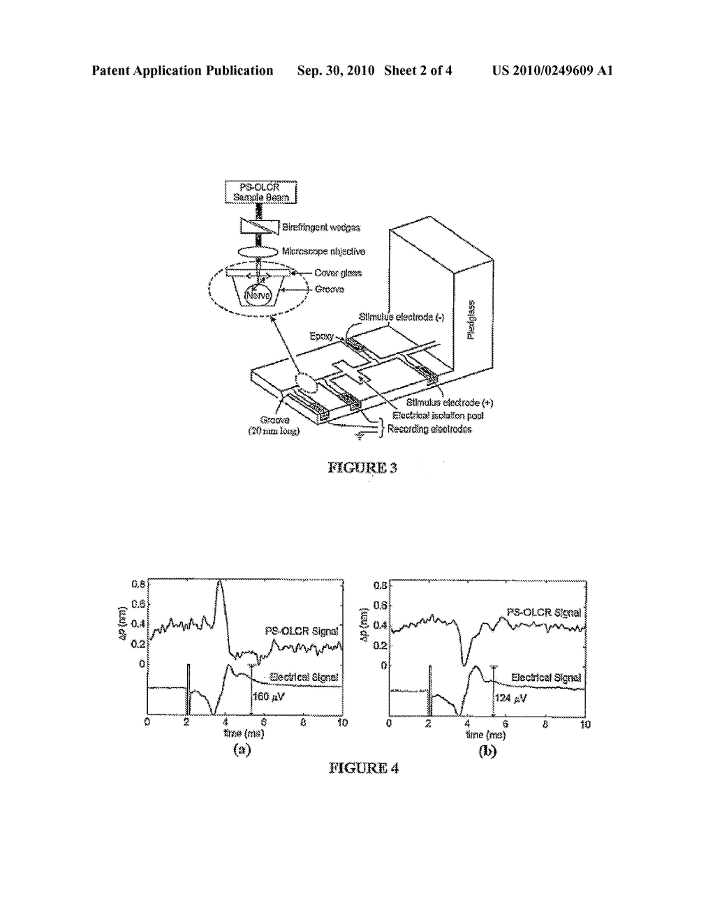 MEASUREMENT OF NEURAL FUNCTIONALITY USING PHASE SENSITIVE OPTICAL COHERENCE REFLECTOMETRY - diagram, schematic, and image 03