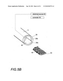 POLYMER COMPOSITES FOR BIOMEDICAL APPLICATIONS AND METHODS OF MAKING diagram and image