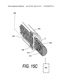 POLYMER COMPOSITES FOR BIOMEDICAL APPLICATIONS AND METHODS OF MAKING diagram and image