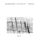 EXTRACTION OF DEPOSITIONAL SYSTEMS diagram and image