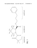 Docking Pose Selection Optimization via NMR Chemical Shift Perturbation Analysis diagram and image