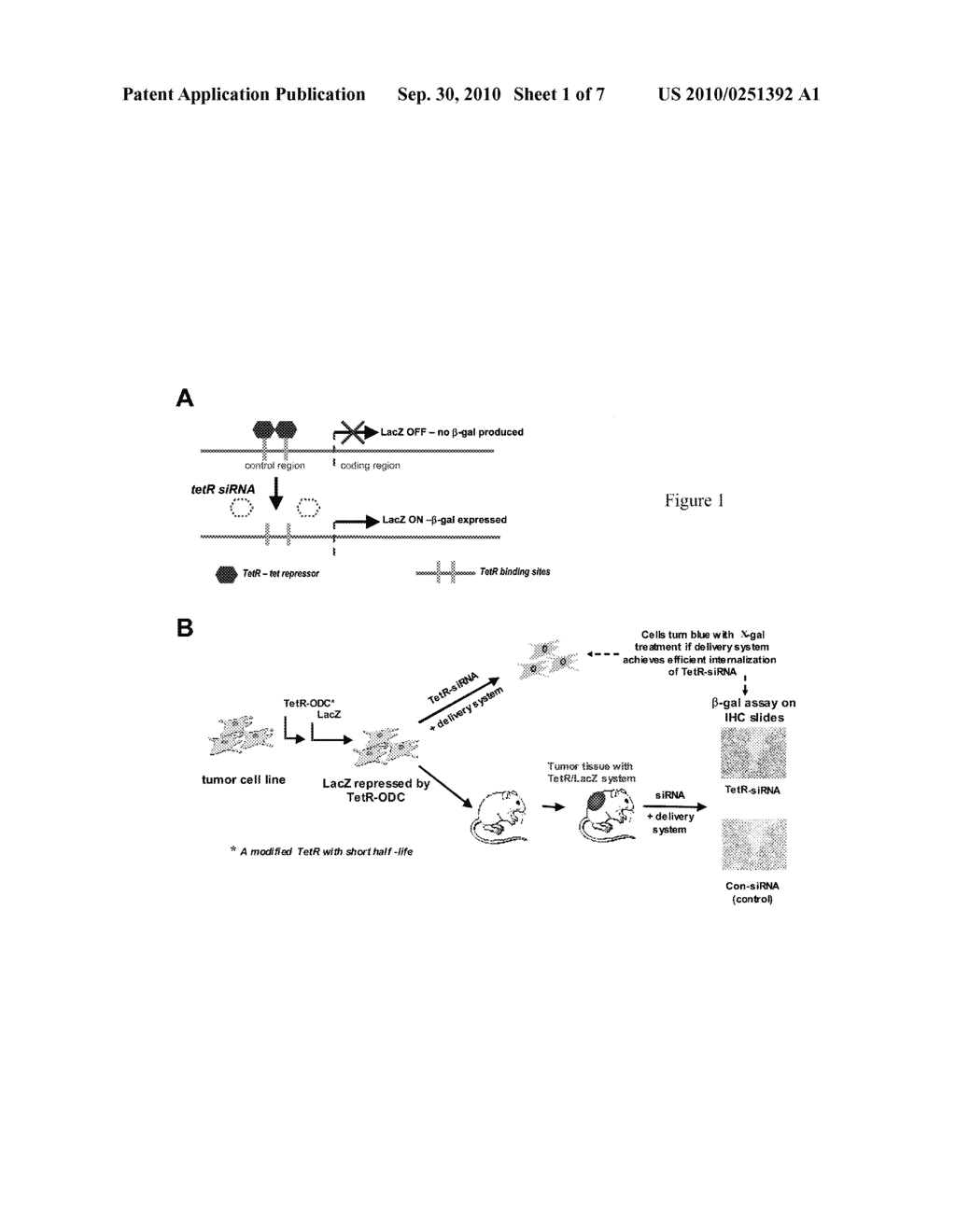 METHODS FOR ASSESSING THE DELIVERY OF EXOGENOUS AGENTS - diagram, schematic, and image 02