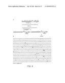 USING CYTOSINE DEAMINASES TO DIMINISH RETROELEMENT TRANSFER FROM PIGS TO HUMANS diagram and image