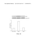 USING CYTOSINE DEAMINASES TO DIMINISH RETROELEMENT TRANSFER FROM PIGS TO HUMANS diagram and image