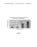 PROTEIN PRODUCTION IN PLANTS diagram and image