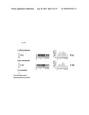 Application of ERF genes from Bupleurum kaoi diagram and image