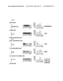 Application of ERF genes from Bupleurum kaoi diagram and image