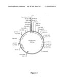 PLANT REGULATORY SEQUENCES FOR SELECTIVE CONTROL OF GENE EXPRESSION diagram and image