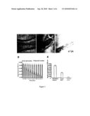 Extra-Cellular Matrix Localized Ferritin for Iron Uptake, Storage, and Stress Tolerance diagram and image