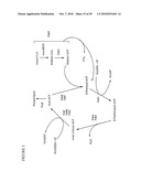 ENHANCED PRODUCTION OF FATTY ACID DERIVATIVES diagram and image