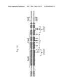 ENHANCED PRODUCTION OF FATTY ACID DERIVATIVES diagram and image