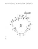 ENHANCED PRODUCTION OF FATTY ACID DERIVATIVES diagram and image