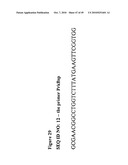 ENHANCED PRODUCTION OF FATTY ACID DERIVATIVES diagram and image