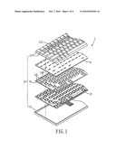 Electronic device having a polymer light emitting module diagram and image