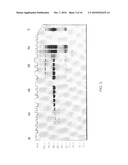 Method and device for separation and depletion of certain proteins and particles using electrophoresis diagram and image