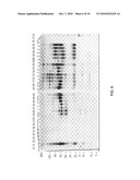 Method and device for separation and depletion of certain proteins and particles using electrophoresis diagram and image