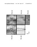 HOLOGRAPHIC MICROSCOPY OF HOLOGRAPHICALLY TRAPPED THREE-DIMENSIONAL NANOROD STRUCTURES diagram and image