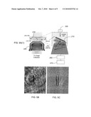 HOLOGRAPHIC MICROSCOPY OF HOLOGRAPHICALLY TRAPPED THREE-DIMENSIONAL NANOROD STRUCTURES diagram and image