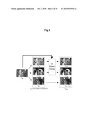 METHOD, APPARATUS AND COMPUTER PROGRAM FOR TRANSFORMING DIGITAL COLOUR IMAGES diagram and image