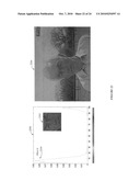 System and method for facial tone indexing diagram and image