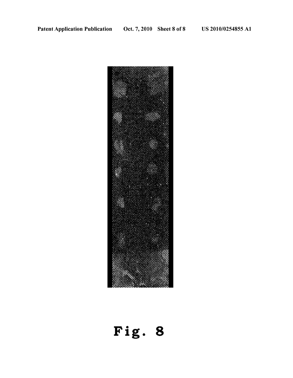 BIOCHIP WITH A THREE DIMENSIONAL MESOPOROUS LAYER AND METHOD FOR FORMING THE SAME - diagram, schematic, and image 09